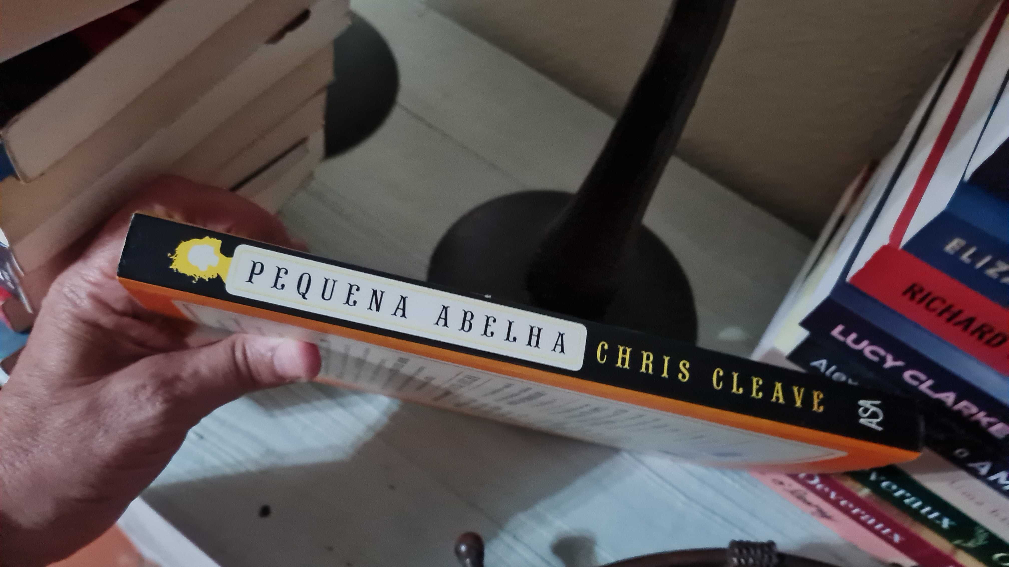 Pequena Abelha de Chris Cleave