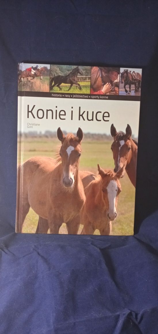 Konie i Kuce Ch.Gohl
