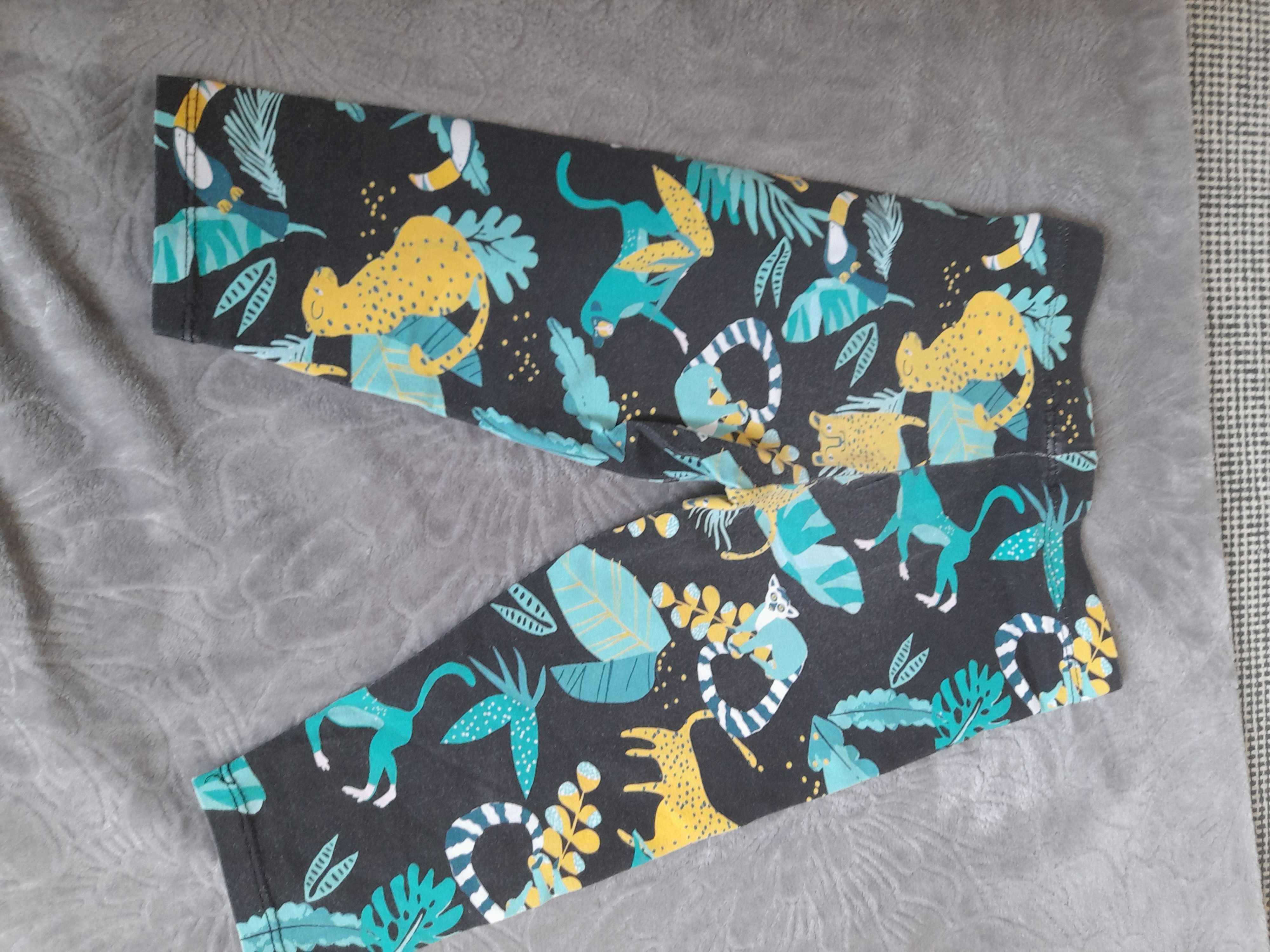 Legginsy dziewczęce Cool  Club r. 110