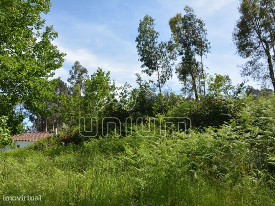 Terreno em Cazelho, Goães