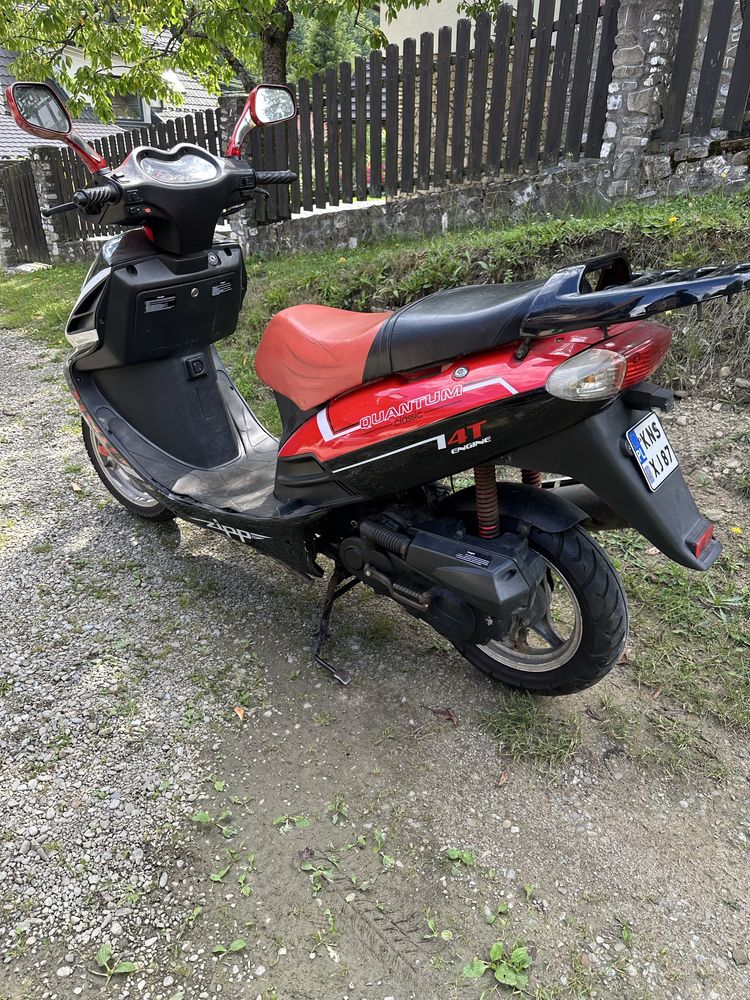 Skuter Zipp Quantum 50