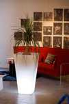 Vasos com iluminação rgb