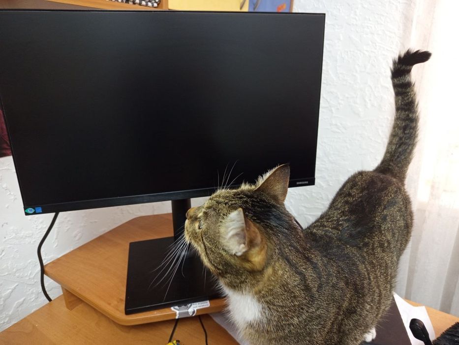 Samsung 24" монітор F24T450FQI