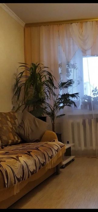 Сімейне гніздечко поряд з Дніпром  3-кв. , Митниця