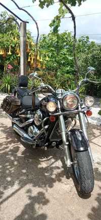 Kawasaki VN 800 Classic