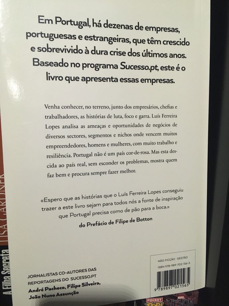 Livro Remar Contra a Maré - Luís Ferreira Lopes - novo