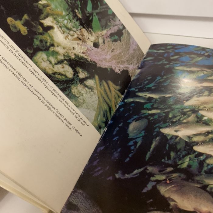 Жак Ив Кусто Сюрпризы моря