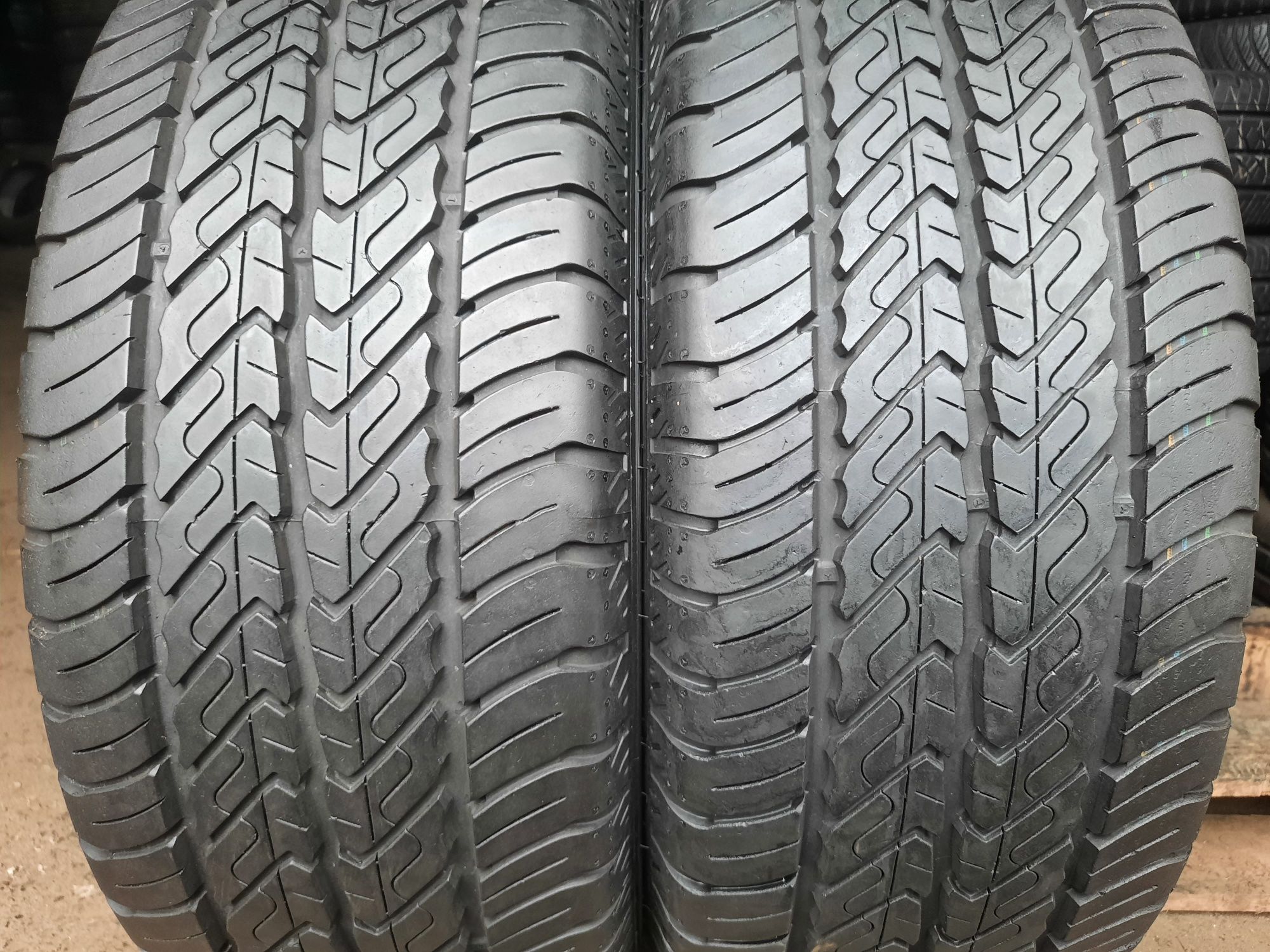 Літні шини 225/55 R17C Dunlop Econodrive 2шт. 95% 2022