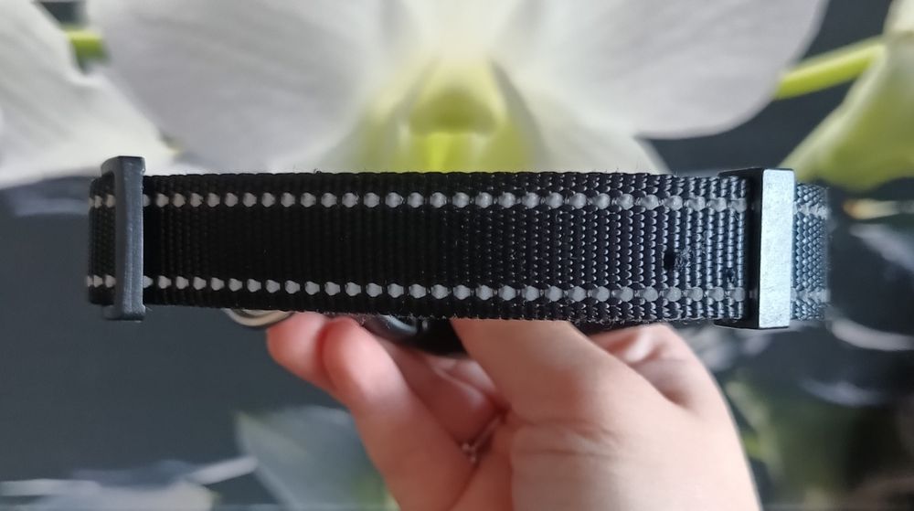 Obroża dla psa odblaskowa, regulowana, czarna, z klamrą