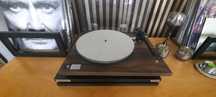 Rega Planar 3- 50th.