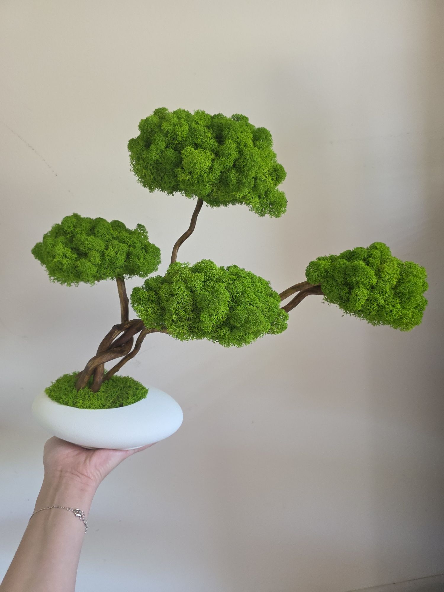 Drzewko bonsai z mchem chrobotkiem. Prezent. Dekoracje wnętrz.  Mech.