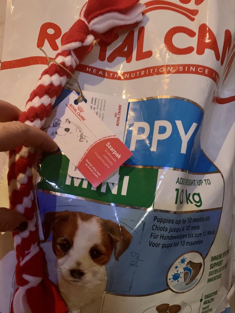 Mleko ‼️ dla Szczeniat • Psów • Kociąt • Kotów, Fretek i innych saków.