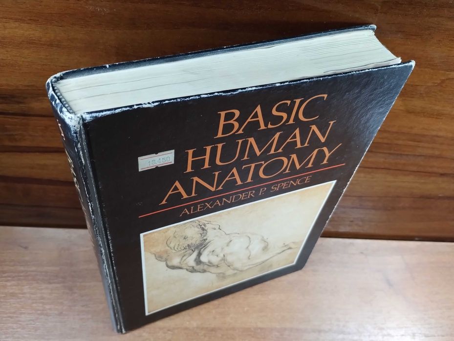 Basic Human Anatomy Alexander Spence Анатомия для художников