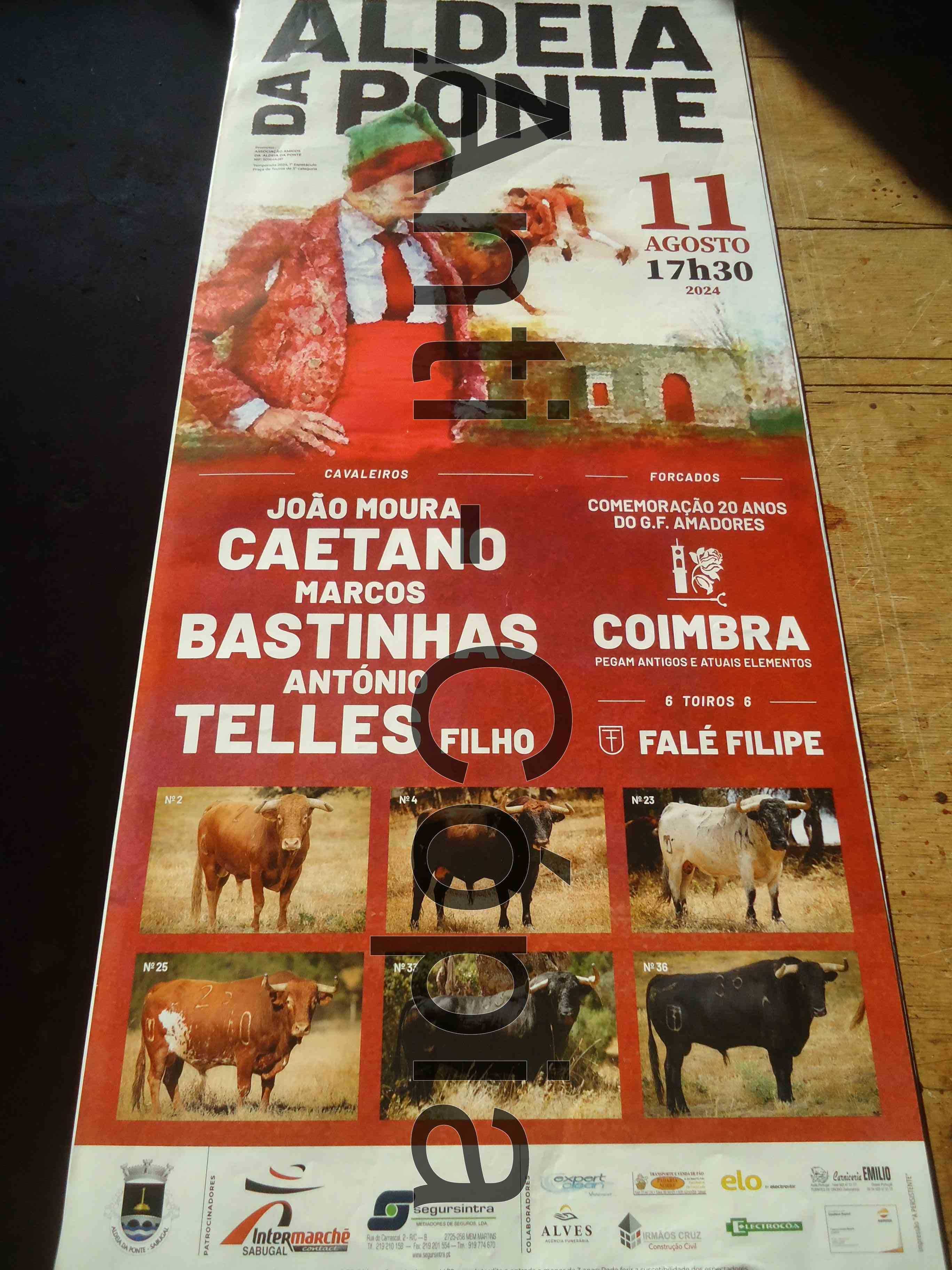 Toiros - Cartazes 9