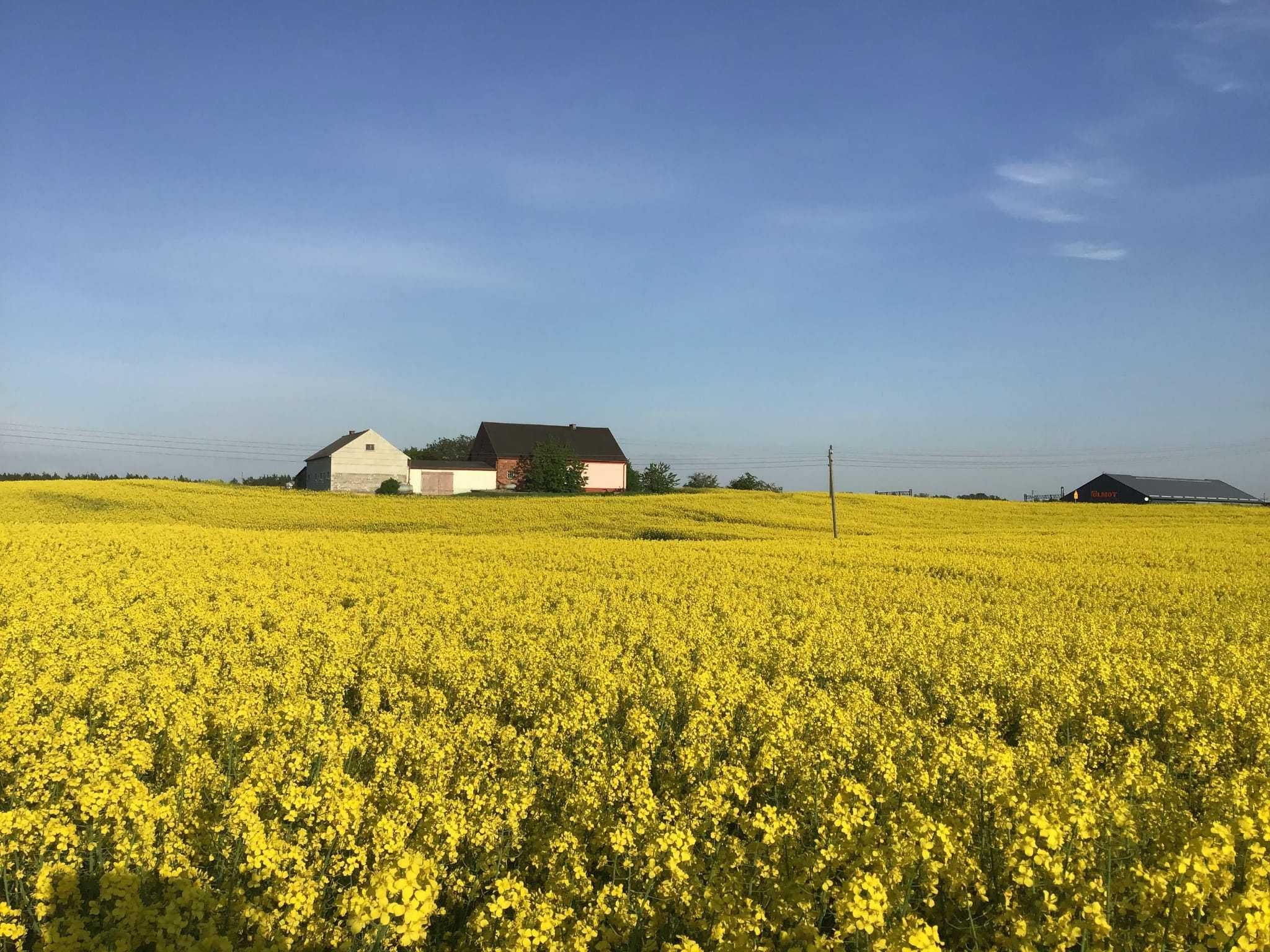 Dom z zabudowaniami gospodarczymi, działka 3000 m2