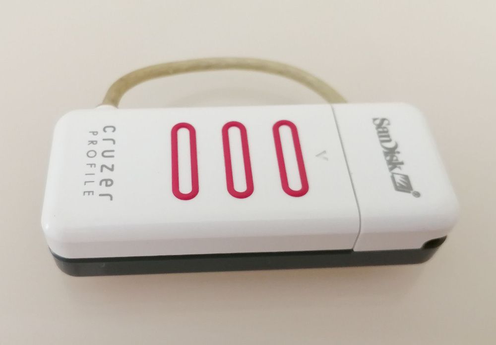 USB Flash drive, SanDisk Cruzer Profile 512 Mb, флешка с биометрией