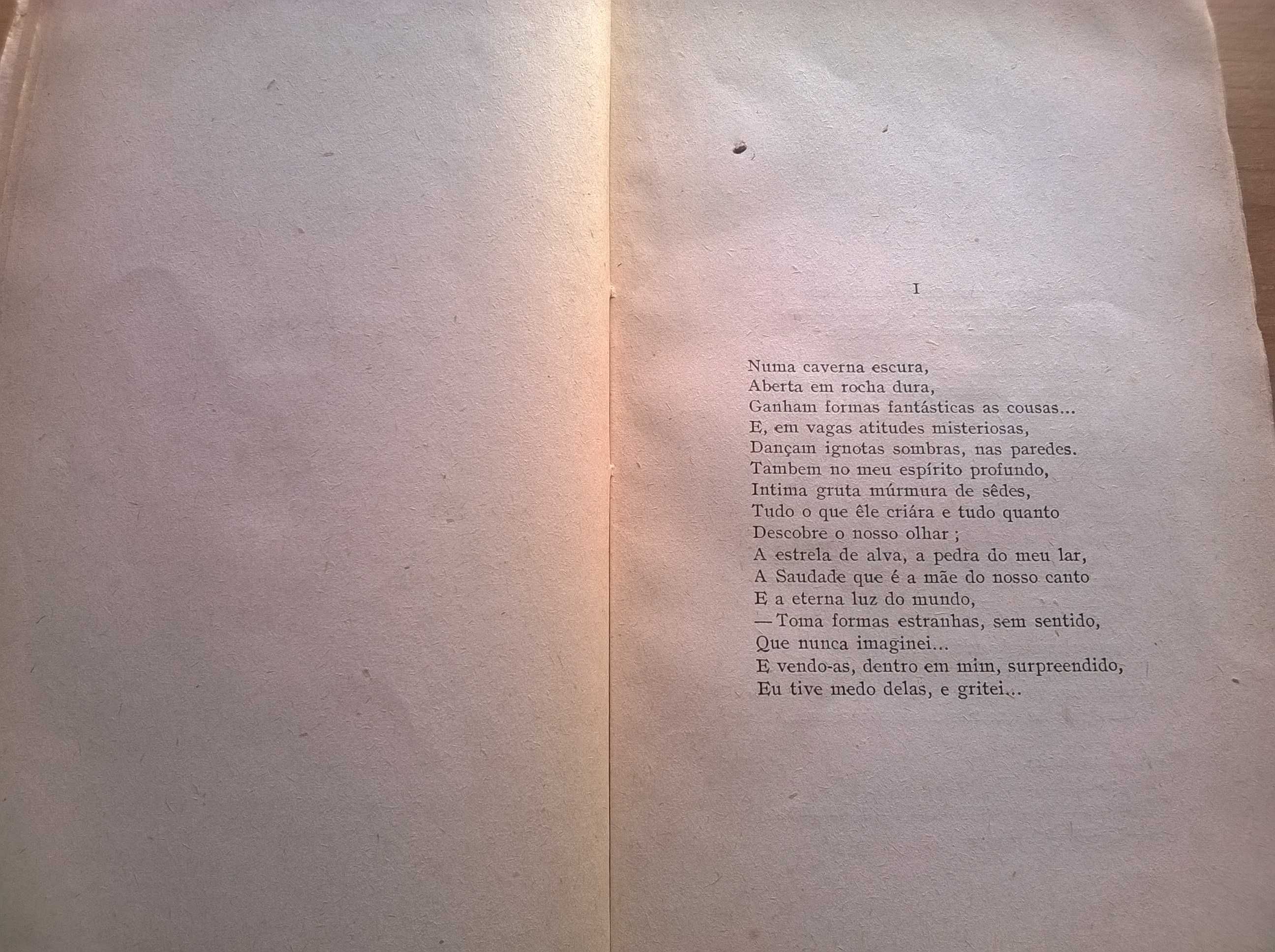 SEMPRE - Terra Prohibida - Teixeira de Pascoaes