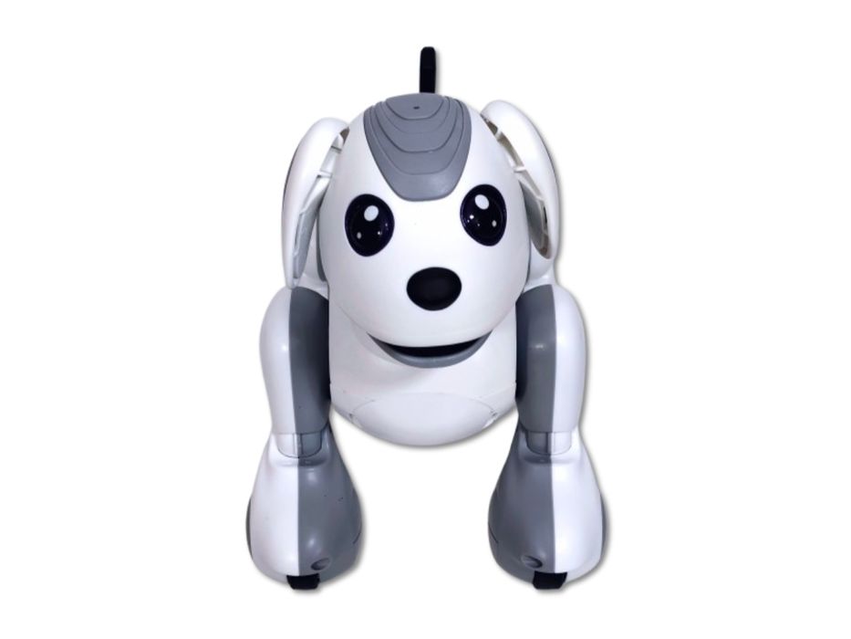 Interaktywny zdalnie sterowany Robot - Pies