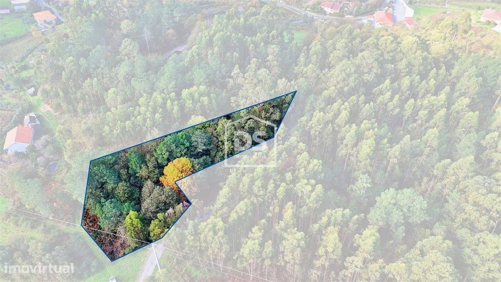 Terreno Rústico  Venda em Agilde,Celorico de Basto