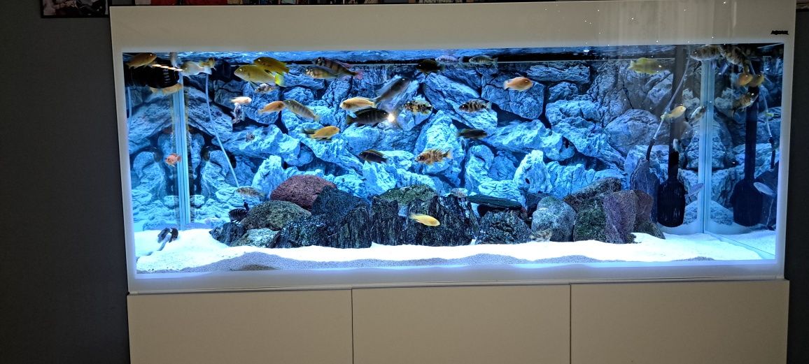 Akwarium 450l //