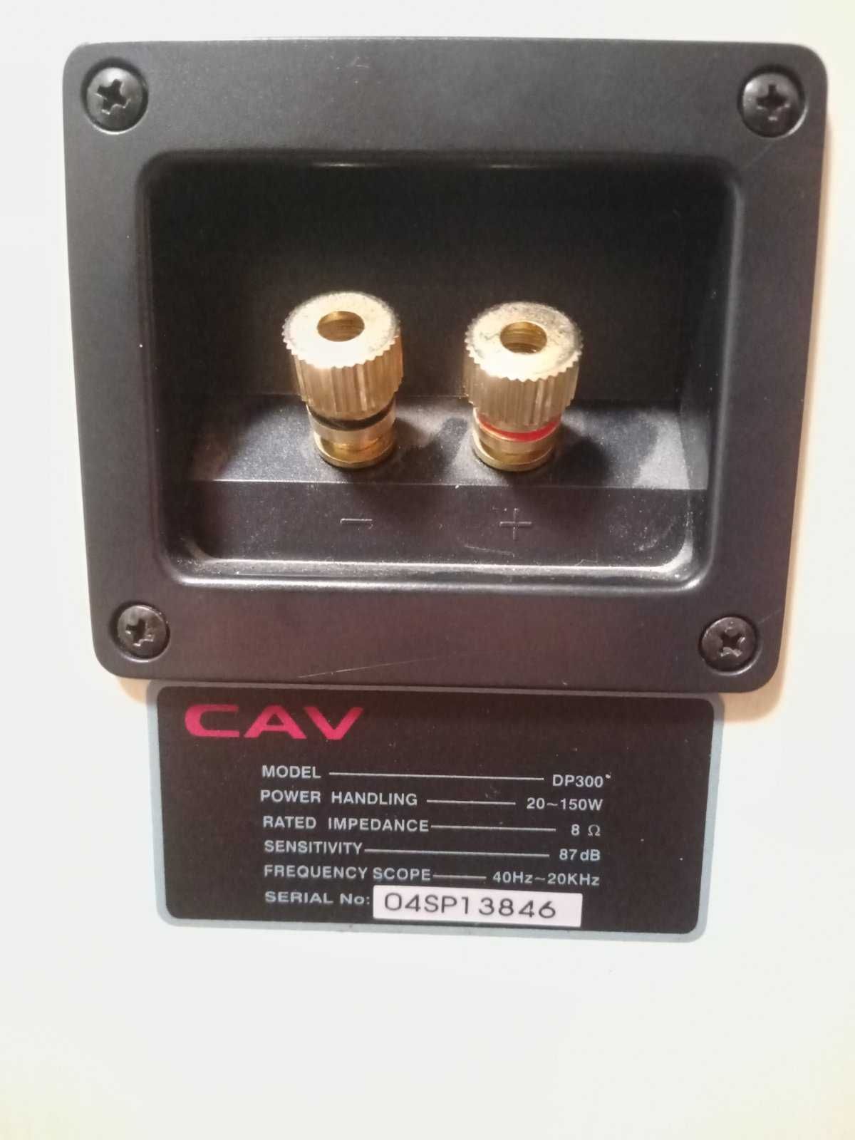 Колонки CAV DP300