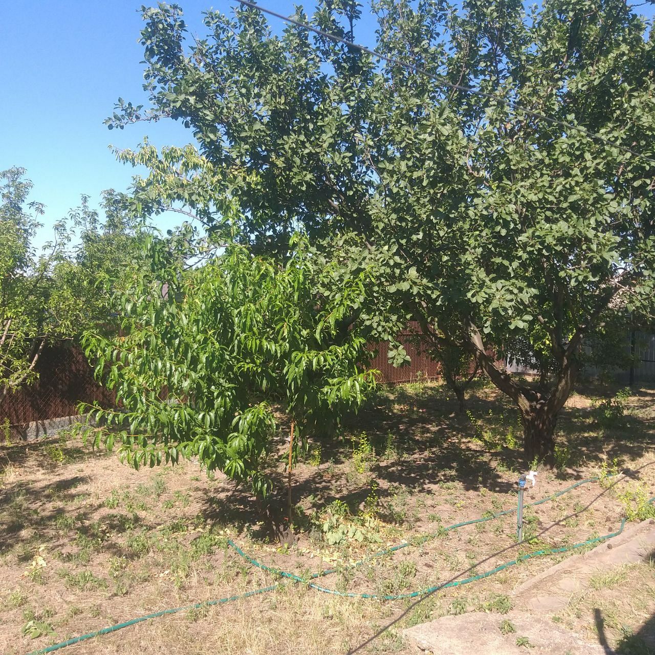 Продам дачу в Михайловке (Левшинский залив)