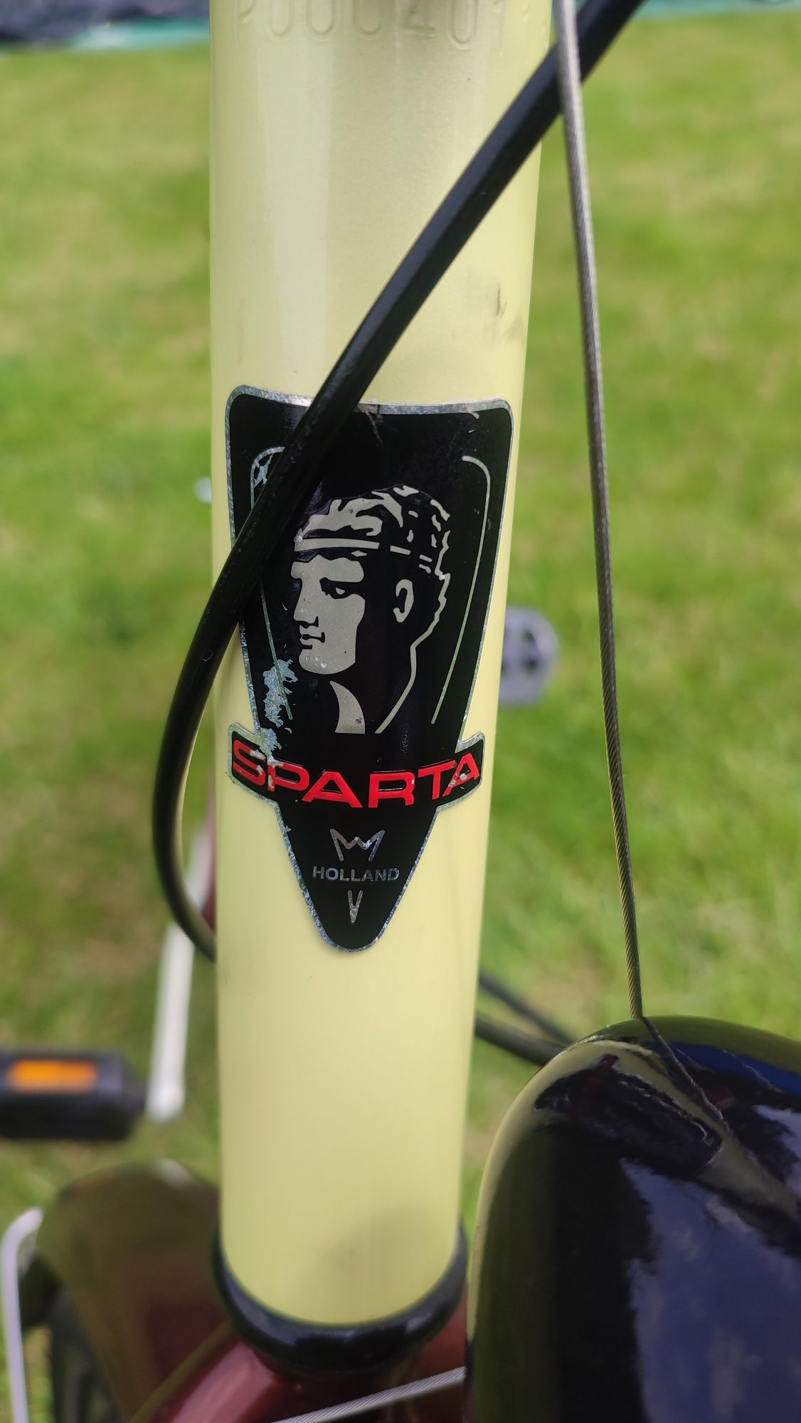 Sparta rower miejski