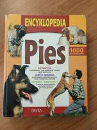 Encyklopedia pies 1000 kluczowych rad