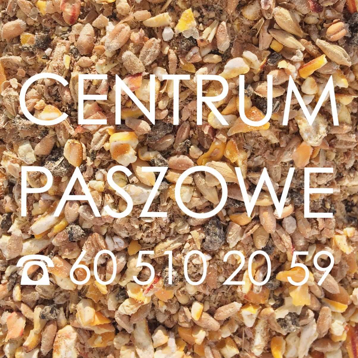 Pasza dla kur niosek SYPKA 25kg z Suszem z Lucerny, kura nioska nioski