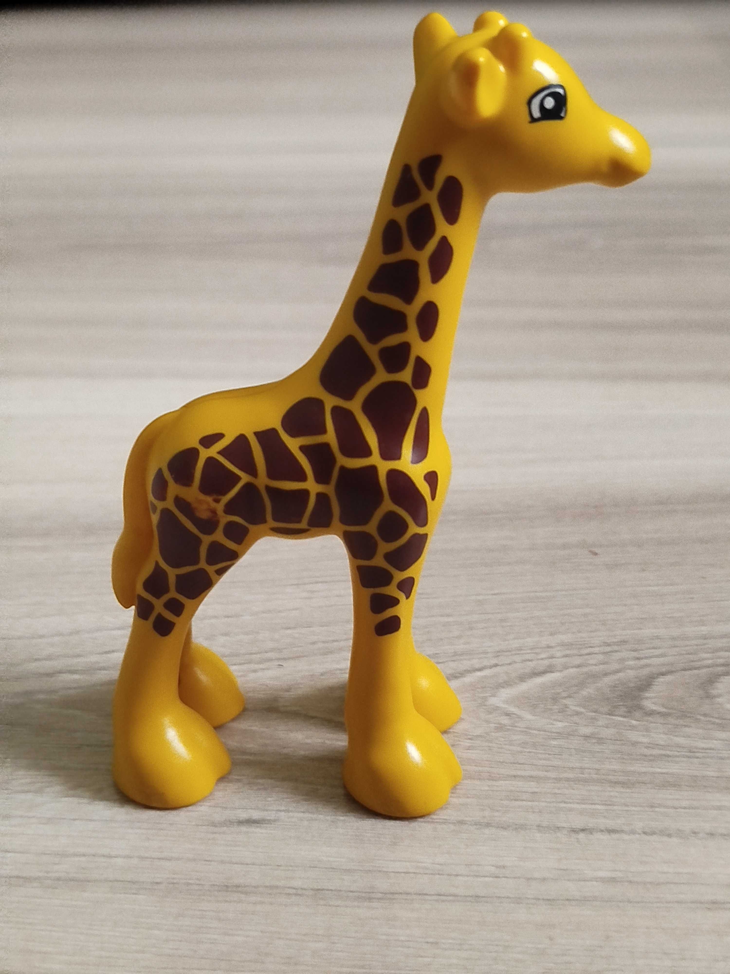 Klocki Lego Duplo zwierzęta - mała żyrafa
