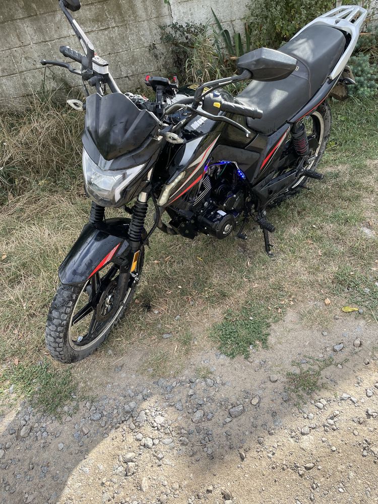 Musstang fortune 200