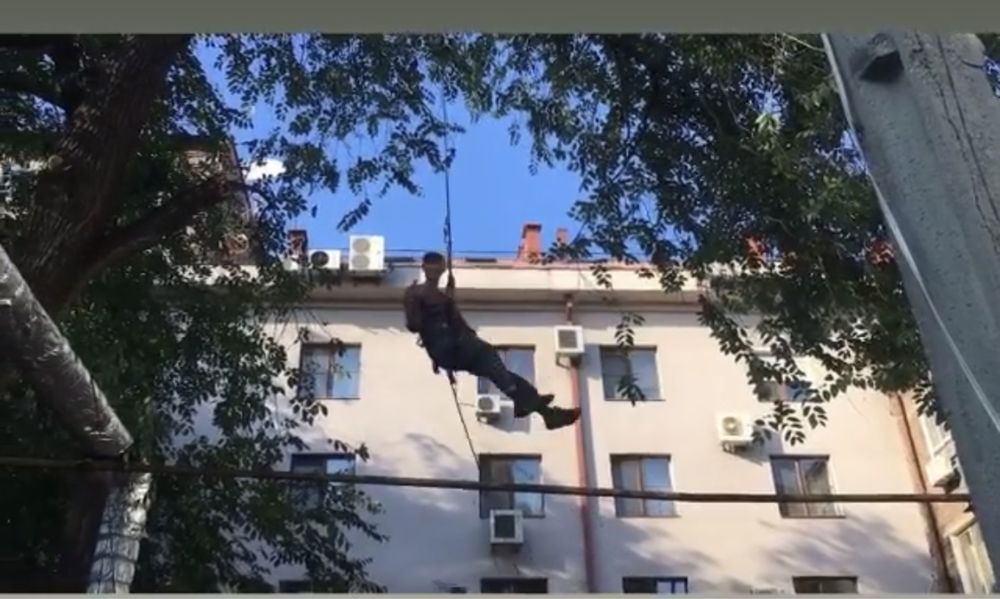 Спил деревьев,обрезка веток,арбаристика,