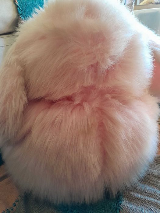 Coelho peluche antigo