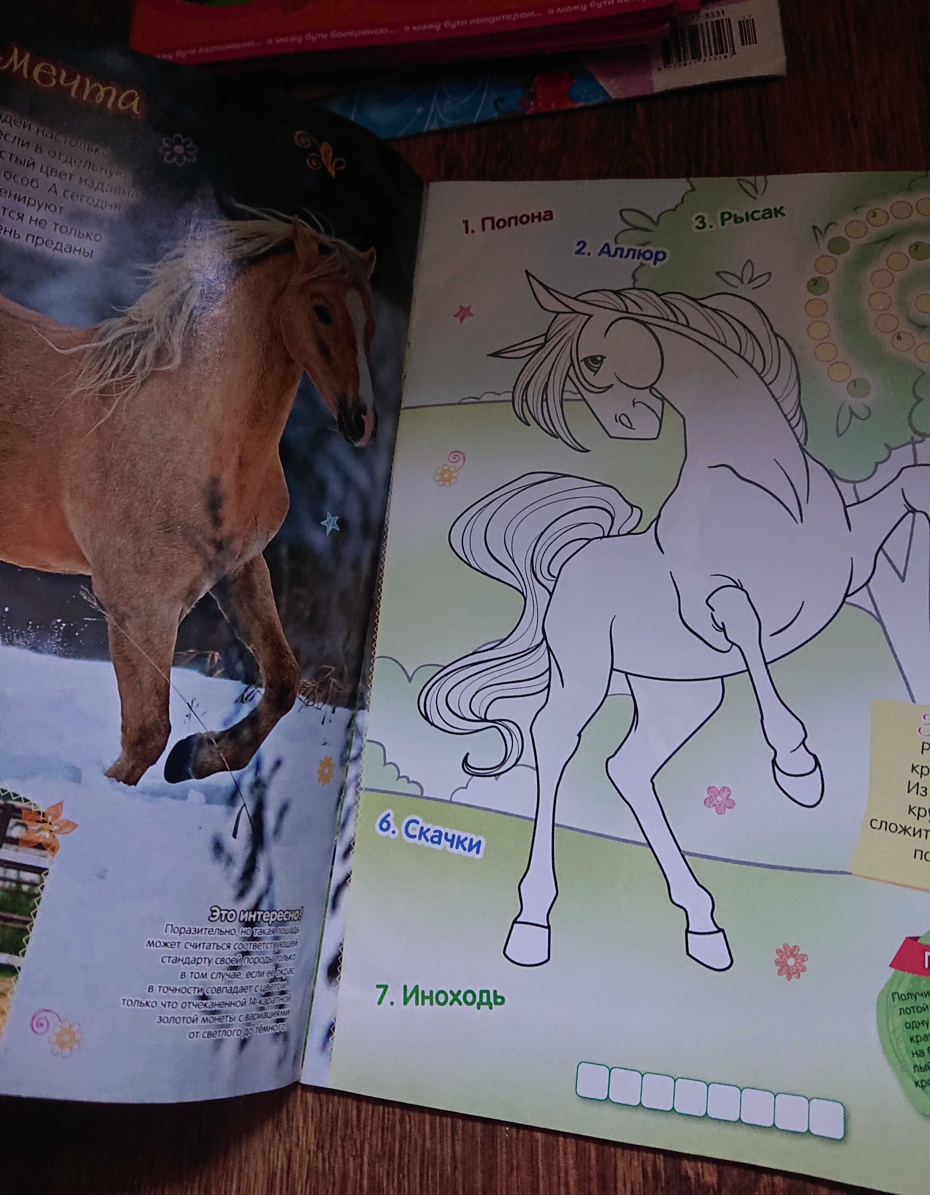 Журнал про лошадей