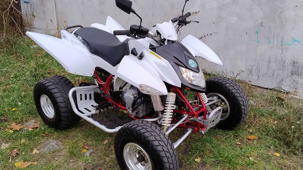 Access Lucky 300 SWAP L7E Kymco Quady Linhai Goes Tgb Aeon Sym Adly DE