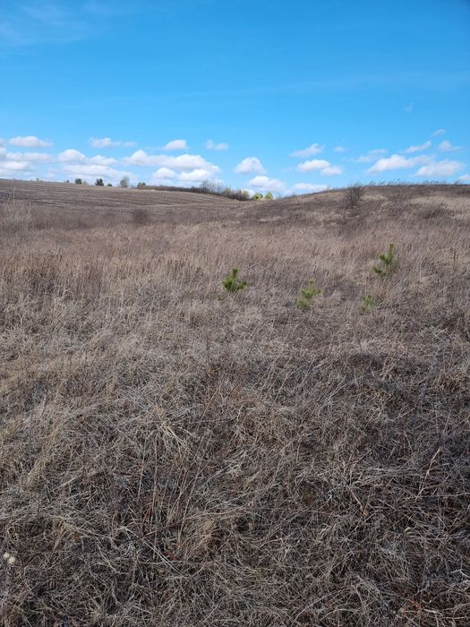 Земельна ділянка в Колоденці, під забудову