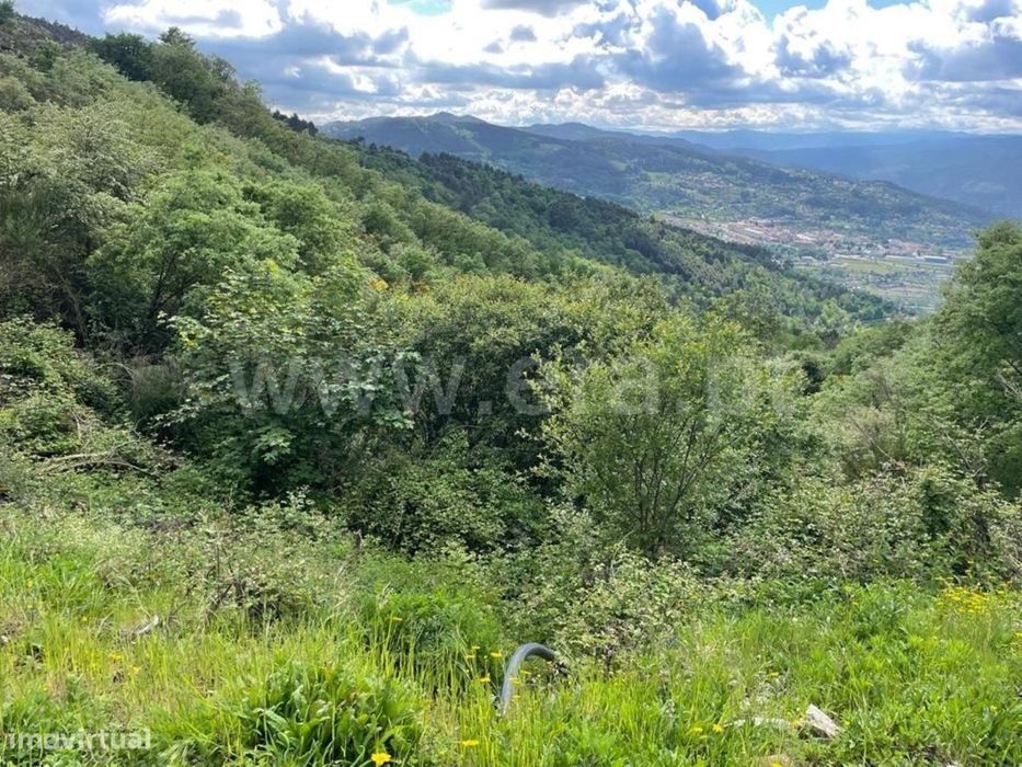 Terreno com ruína em Ribeira de Pena