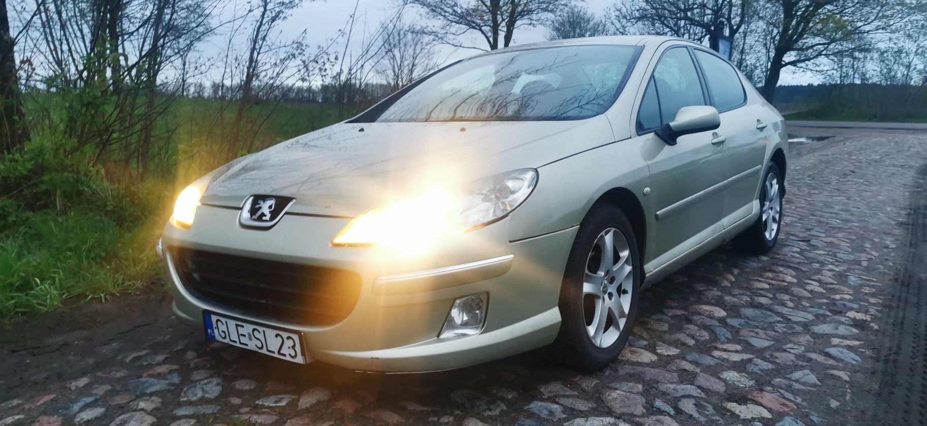 Peugeot 407 1.6 hdi