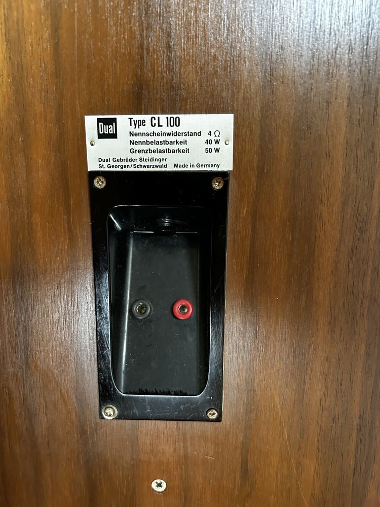 Par de Colunas DUAL, modelo Type CL100