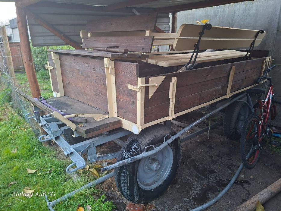 Klacz 5letnia i wóz