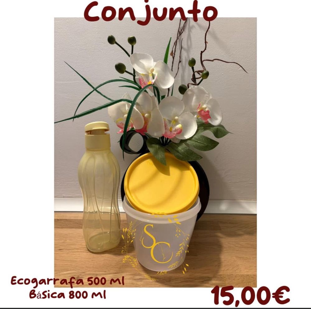 Conjunto - tupperware