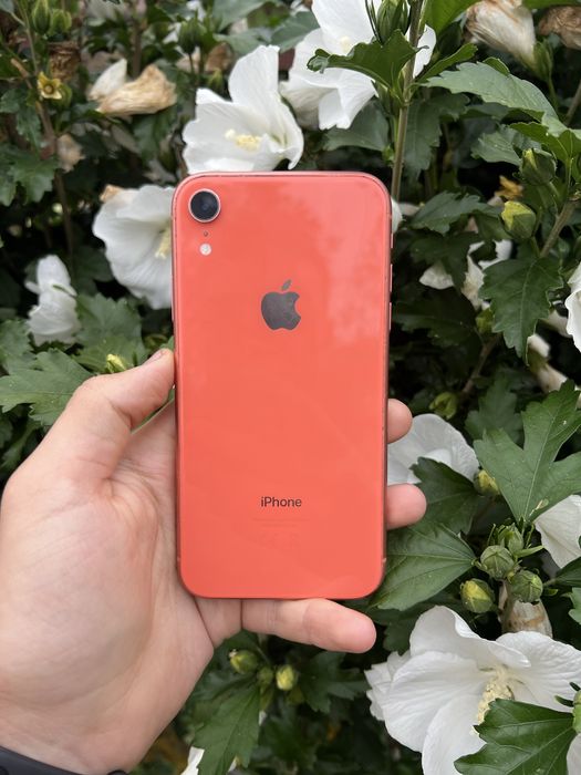 Розборка, запчастини Iphone Xr є чиста плата!!