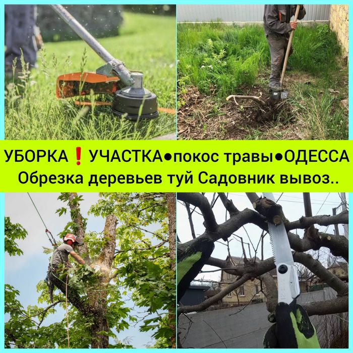 Уборка участка домов покос садовник|Спил обрезка деревьев вывоз мусора