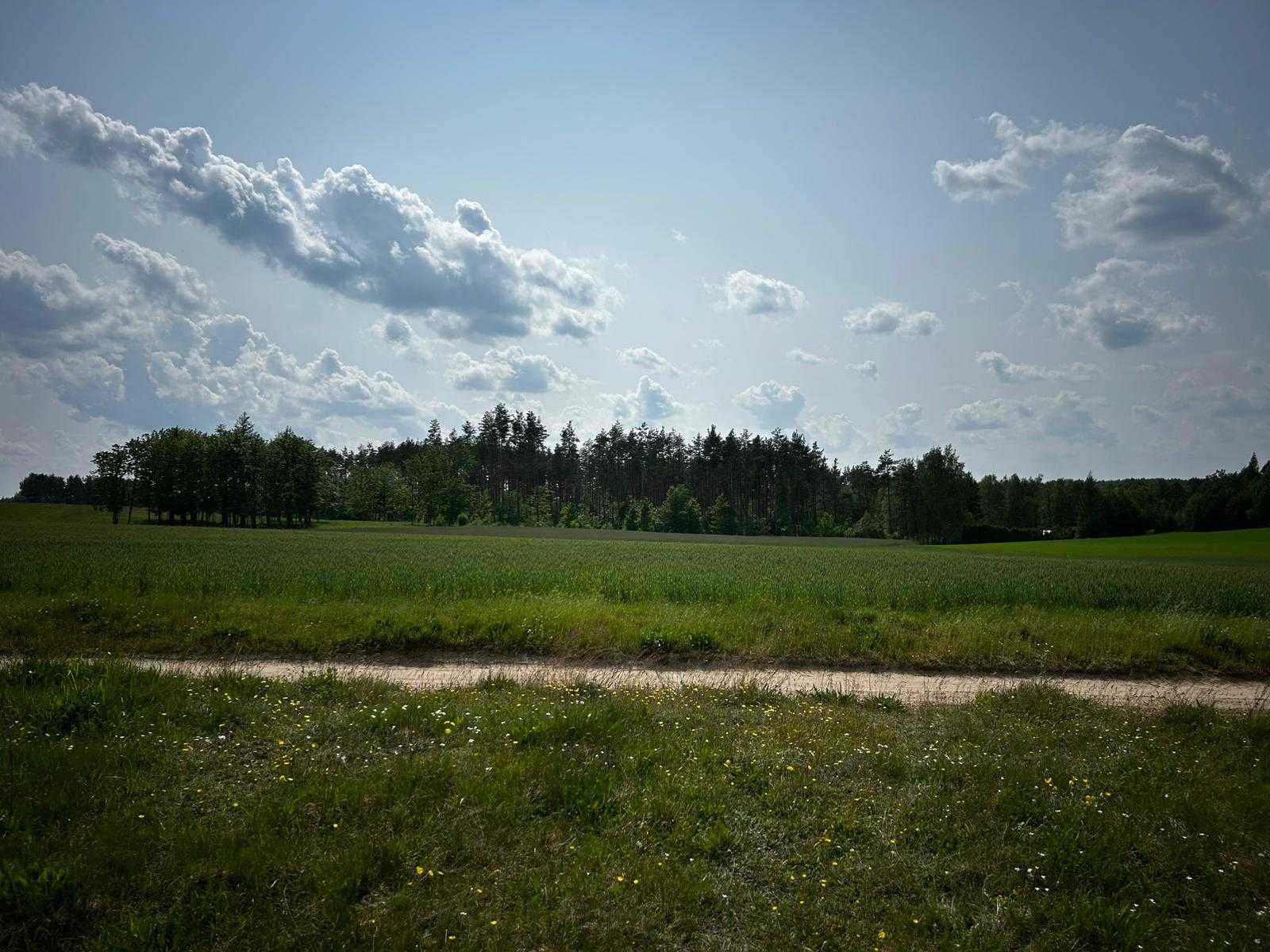 Działka rekreacyjna  Podjazy