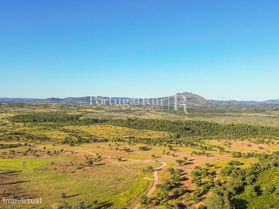 Quinta de 9,4 hectares em Medelim