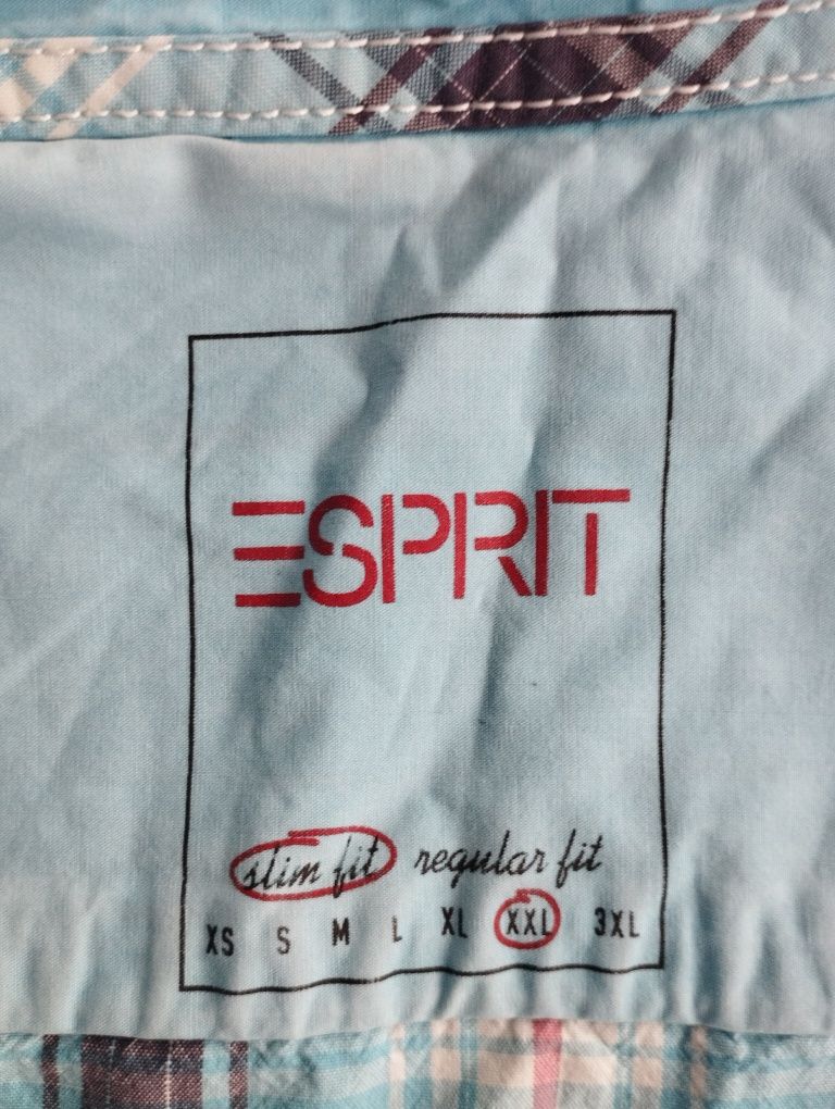 Koszula Esprit kratka
