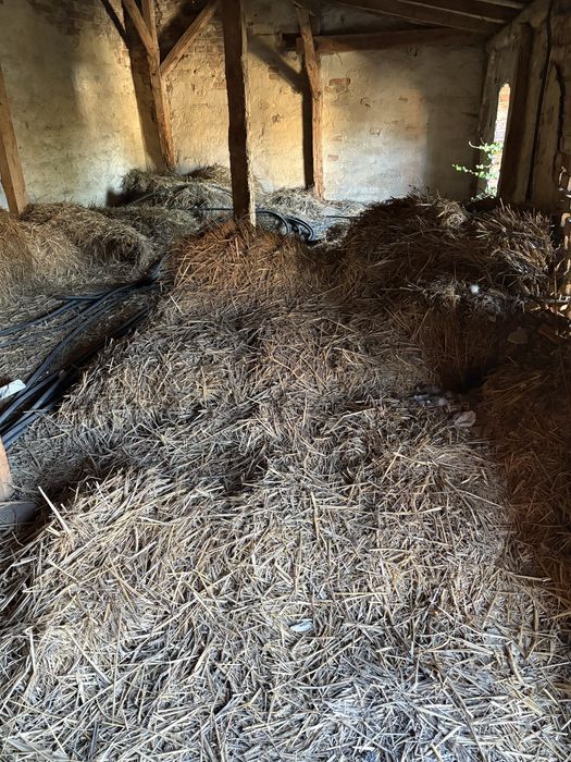Słoma za darmo oddam