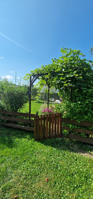 Sprzedam działkę ROD Ul. Wilcza 4 Białystok