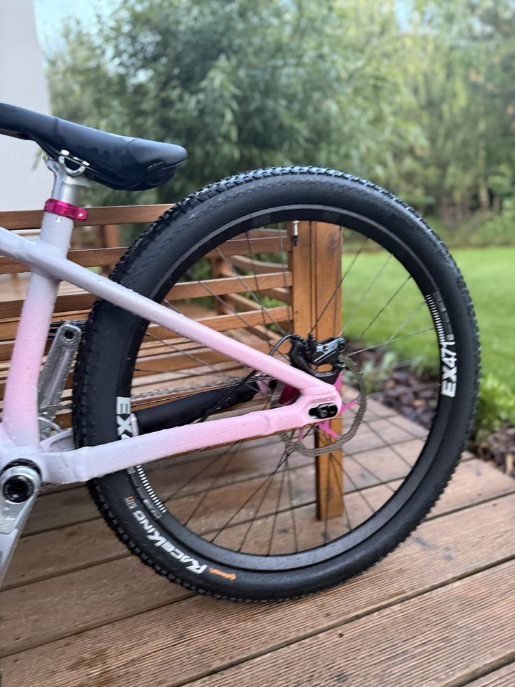 specialized p3 (custom)