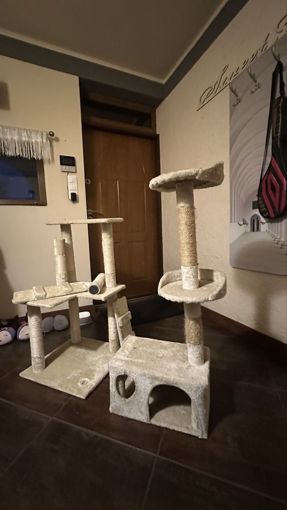 Drapak dla kota bezowy